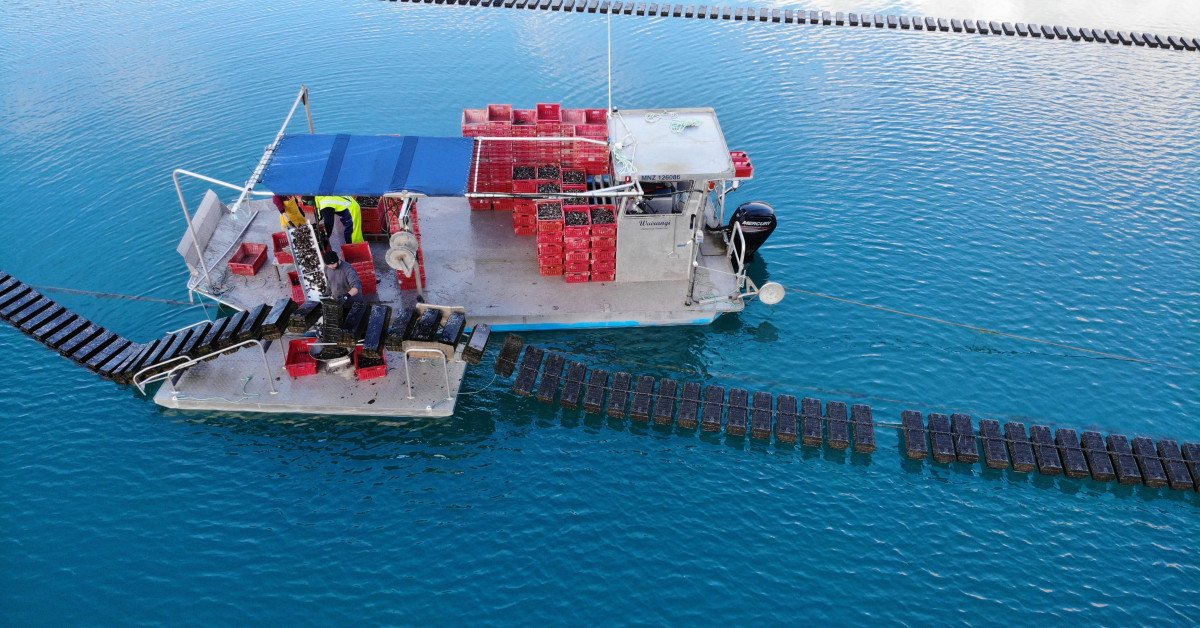 Automating Oyster Farming: FlipFarm Launching Two Products Set to Redefine Efficiency and Productivity in Oyster Aquaculture