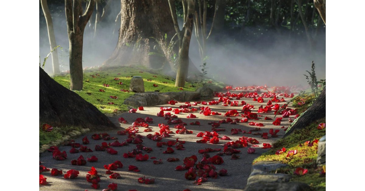 Hotel Chinzanso Tokyo Celebrates the Annual Bloom on Historic Camellia Mountain