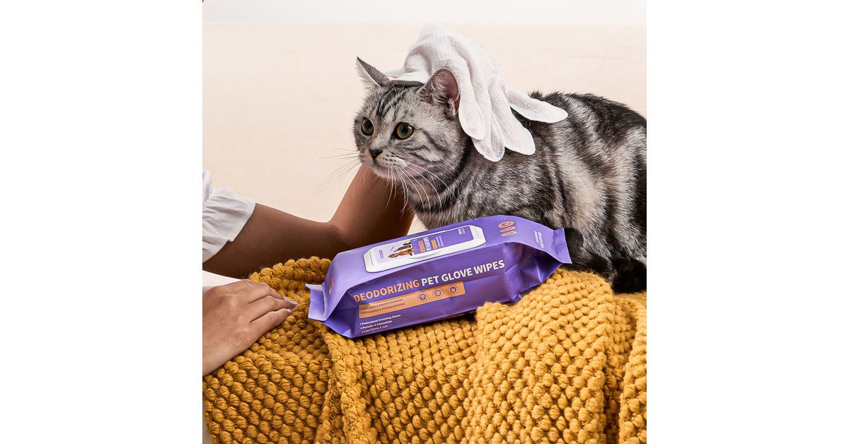 HICC Pet Announces Strategic Relocation to Pacific Northwest, Expanding Its Holistic Pet Wellness and Grooming Solutions